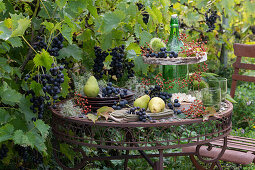 Make your own etagere out of a bottle and wooden discs: blue grapes, cheese, pears, rose hips and chestnuts in a fruit cover