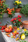 Essbare Zierpaprika 'Salsa' in Tontöpfen, Chili 'Basket of Fire', Zitronenthymian, Tomaten, gelbe Zucchini, Blüten von Ringelblume und Borretsch