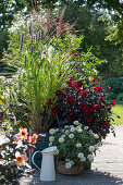 Late summer terrace with zinnia, dahlia 'Mystic Wonder', Chinese reed and scented nettle