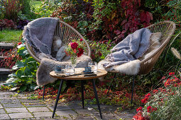 Acapulco armchair with fur and blanket on the patio bed, wild vine as privacy screen, small bouquet with roses and rose hips on the table