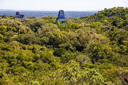 Antike Maya Tempelruinen im Urwald, Tikal, Guatemala, Mittelamerika