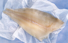 Fresh halibut fillet on paper