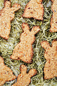 Vegan carrot crackers in the shape of bunnies