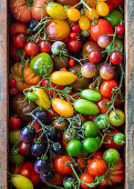 Verschiedene frische Tomaten in Holzkiste