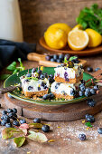Blueberry lemon squares (cookie base, condense milk, eggs, lemon juice filling)