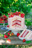 Strawberry buttercream cake with baked strawberry cheesecake layer