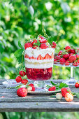 Strawberry trifle with strawberry jelly, vanilla sponge and yogurt cream