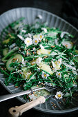 Spring salad with herbs and daisies