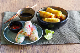 Vietnamese summer rolls and spring rolls