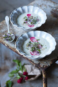 Kohlrabi soup with radishes and microgreens
