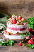 Strawberry icecream cake