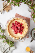 Raspberry and egg liqueur charlotte with sponge cake base