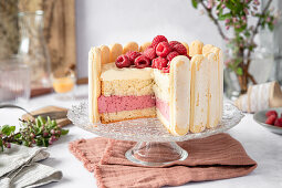 Raspberry and eggnog charlotte with sponge cake base, sliced