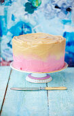 Raspberry caramel ombre cake