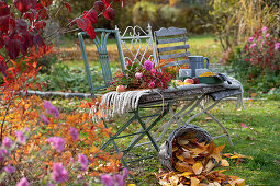 Seat in the autumnal garden