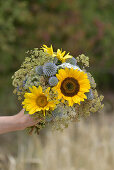 Late summer bouquet with sunflowers and globe thistles