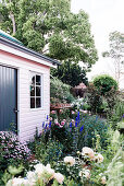 Flower garden in front of a pink-painted wooden house