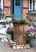 Planted containers with summer flowers in front of the terrace