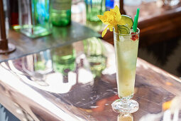 A tall green cocktail, garnished with cucumber and a daffodil flower
