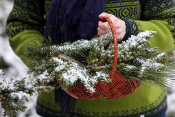 Basket of silver fir, spruce and pine branches
