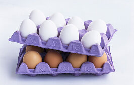 Cartons of white and brown eggs