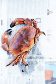 Boiled crab on newspaper