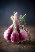 Garlic Pod with Thyme