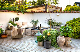 Seating area and potted plants on wooden terrace