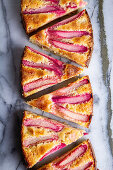 Rhubarb Cake Slices on Marble