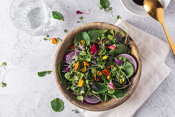 Bowl with tasty salad with sprouts and vegetables