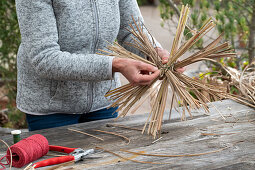 Star from pruning Miscanthus