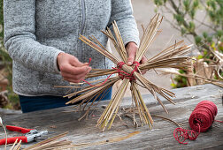 Star from pruning Miscanthus