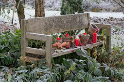 Christmas decorated garden bench with clay pots, red candles and ornamental apples