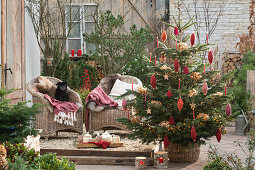 Nordmann fir decorated with twine rolls and dried hydrangea blossoms in front of a seating area on the terrace