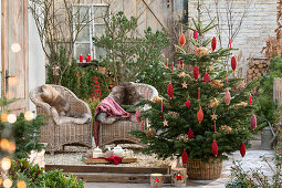 Nordmann fir decorated with twine rolls and dried hydrangea blossoms in front of a seating area on the terrace