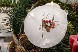 Ice ball with rose hips and pine cones