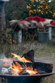 Wood burning fire pit in the garden