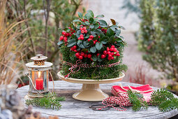 Weihnachtliche Tischdekoration aus Scheinbeeren (Gaultheria procumbens)