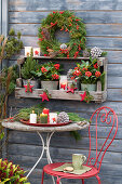 Wooden shelf with white spruce (Picea glauca), skimmia (Skimmia) and American wintergreen berries (Gaultheria procumbens) and DIY wreath made of pine branches (Pinus) on a board wall, in front of it a seat