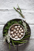 Quail eggs in a shell surrounded by herbs
