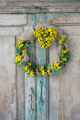 Wreath made of tansy (Tanacetum vulgare), hops (Humulus), blackberry leaves (Rubus) and wide burlap ribbon