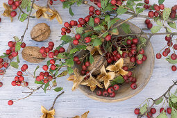 Stone bowl filled with hawthorn and beechnuts