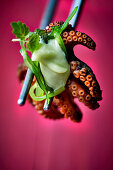 Black octopus, wakame salad, and wasabi mayonnaise (Close up)