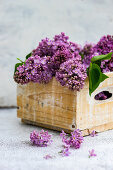 Purple lilacs in a wooden crate