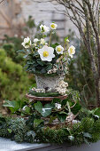 Etagere aus Holzscheiben mit Christrosen (Helleborus niger) Tannenzweigen, Efeu (Hedera), Schneebeere (Symphoricarpos) Weihnachtsdekoration