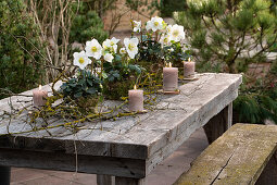 Table decoration with Christmas roses in moss wrapped pots and branches