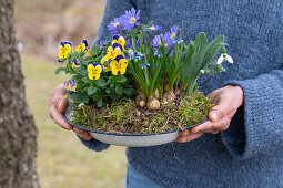 Balkan anemone (Anemone blanda), snowdrop (galanthus), violet (Viola) and grape hyacinth (muscari) in flower bowl