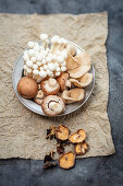 Verschiedene Pilze - Shiimeji, Austernpilze, Champignons, getrockneter Shiitake