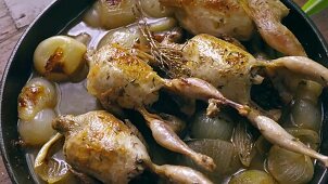 Quails with onions in white wine - Step by step