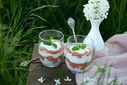 Vegan rhubarb dessert